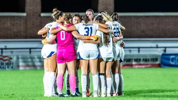 Bison Huddle
