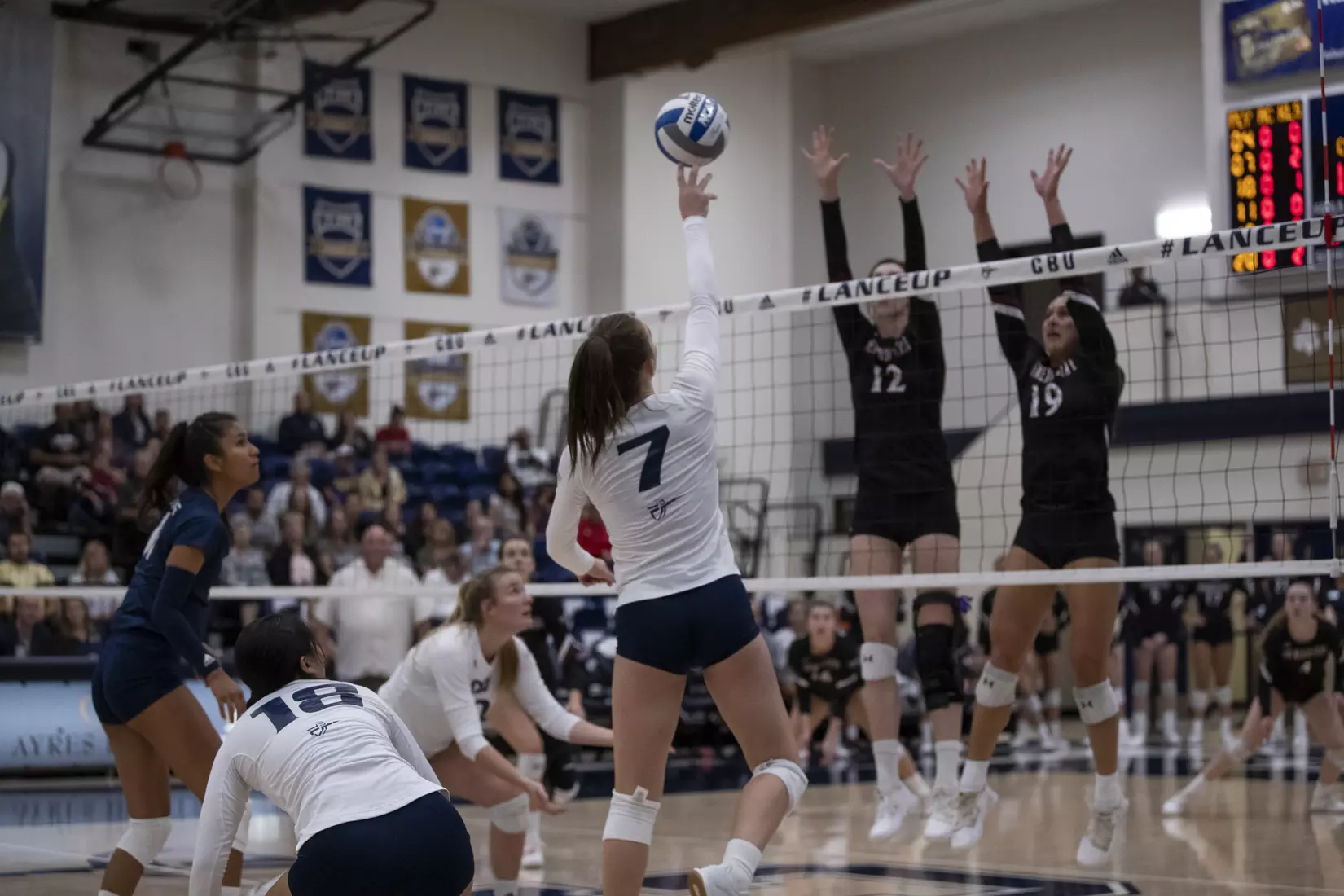 generic Megan Sester