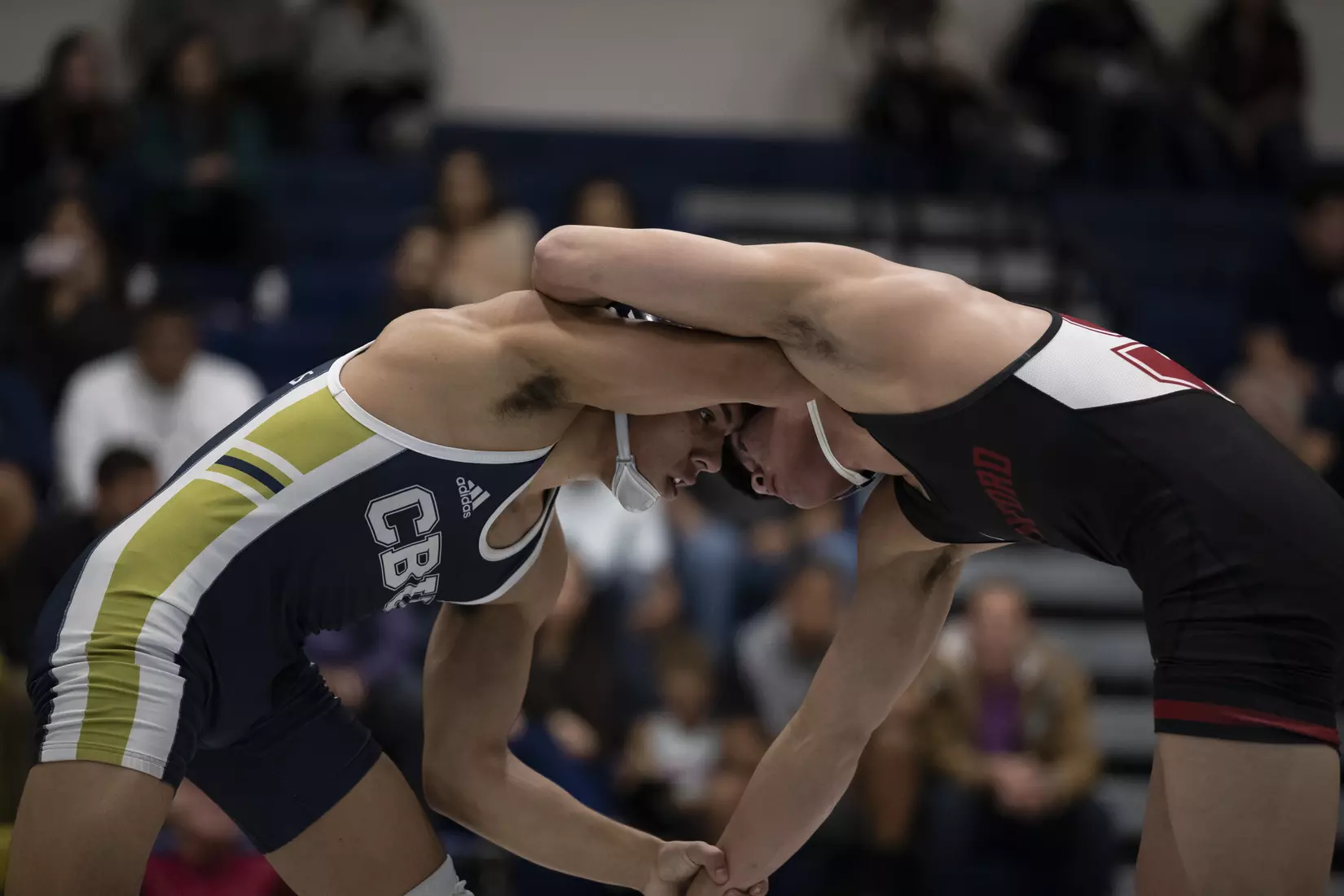 wrestling vs. Stanford