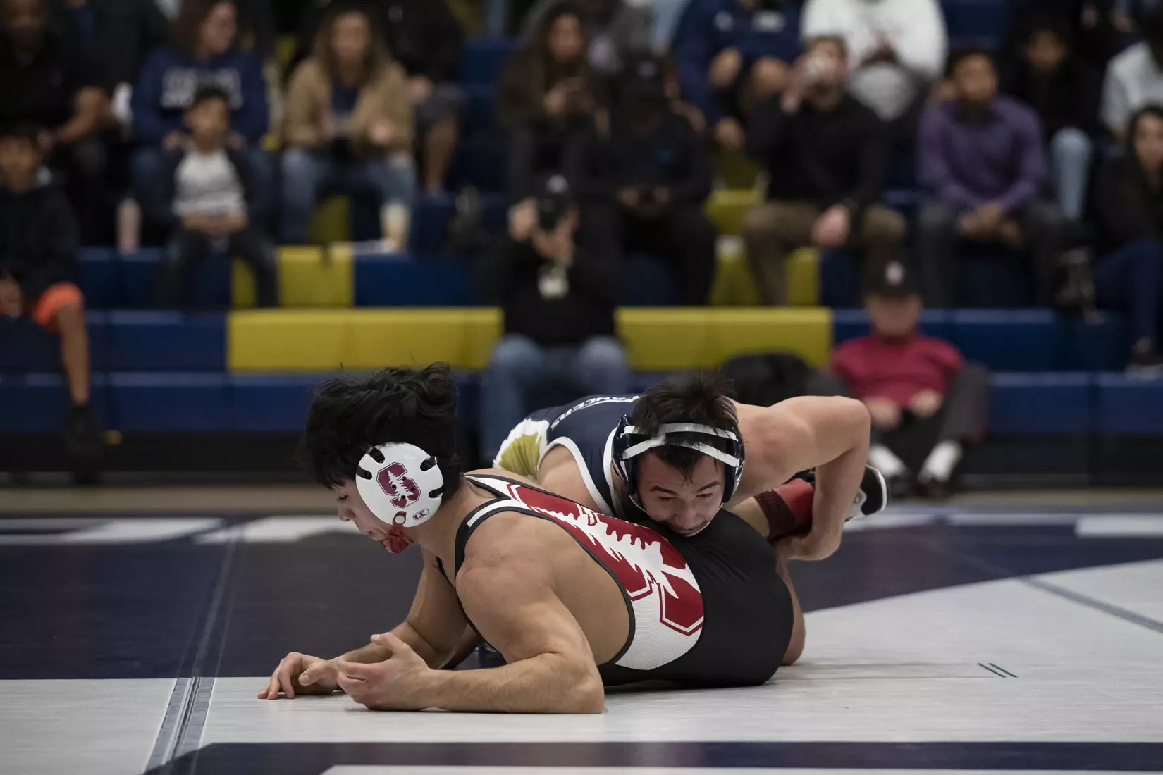 wrestling vs. Stanford