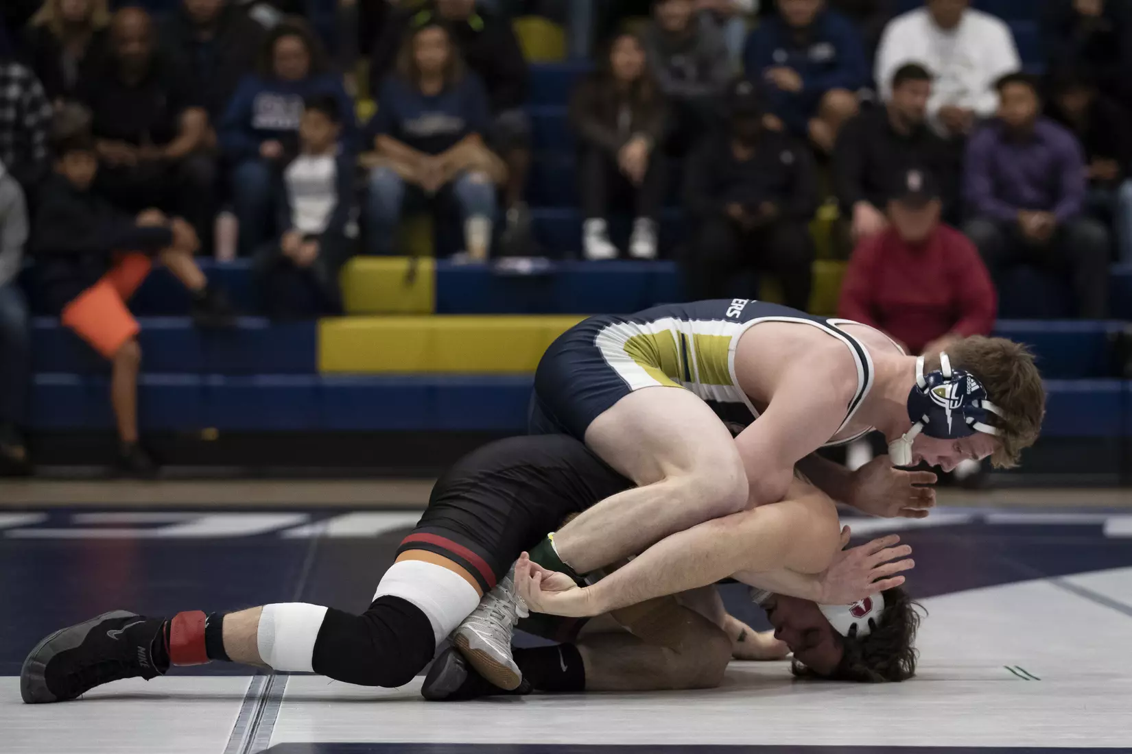 wrestling vs. Stanford