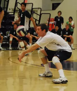Dig by Cook, A.jpg
