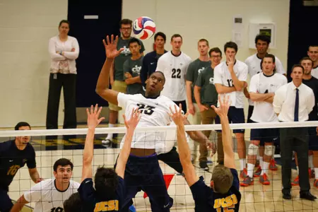 MVBall vs. UCSD 1/17/14