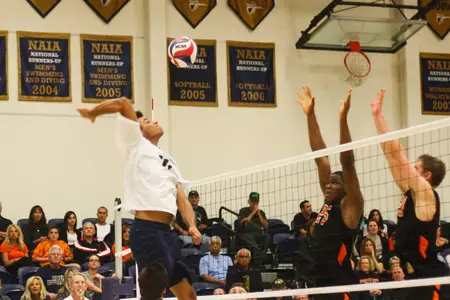 MVBall vs. Princeton 1/29/14