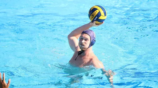 Elad Gunya