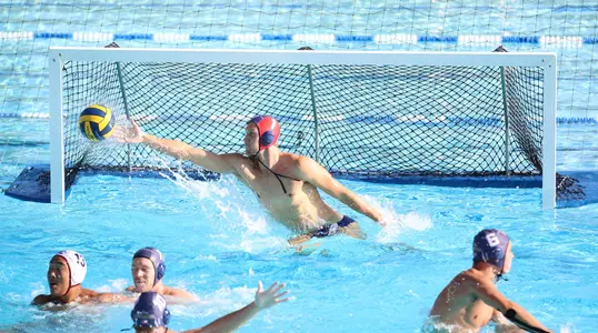 Moorman's Momentual Save Image