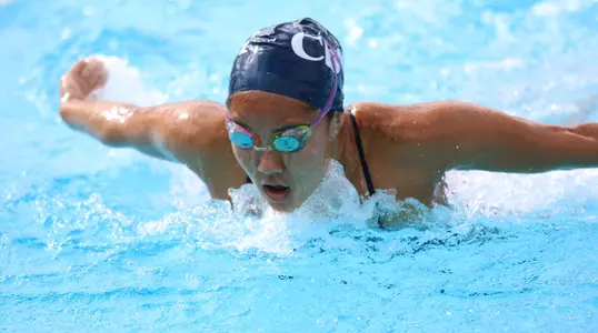 Steady Strokes Image