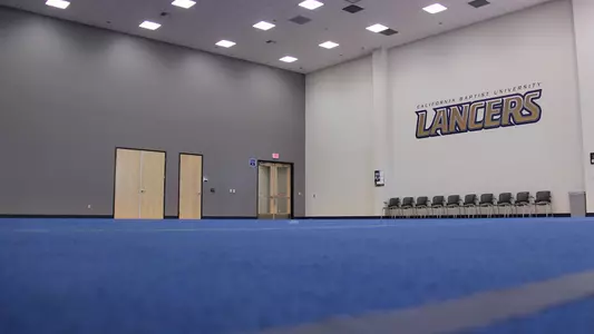 cheer mat