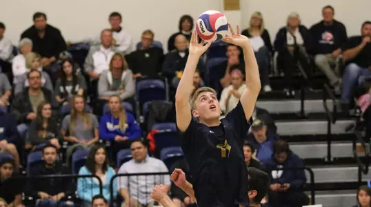 Matching the Matadors Image