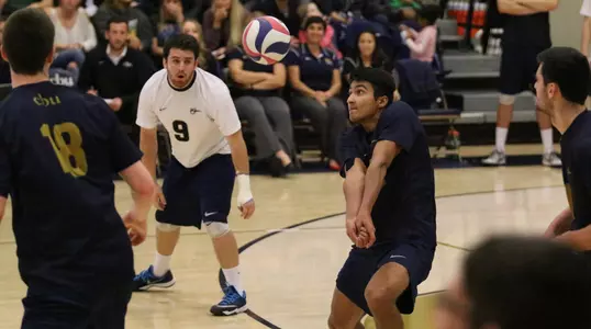 Catching the Cougars Image