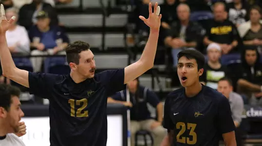 Roy Powell and Rohit Paul