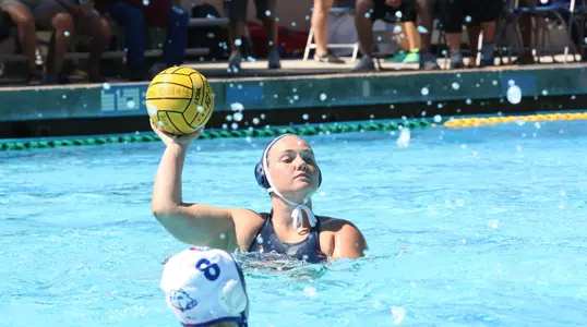 CBU Tangles With the Tigers Image