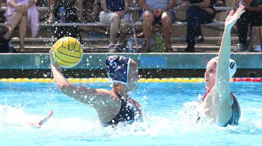 Victorious Ending Image