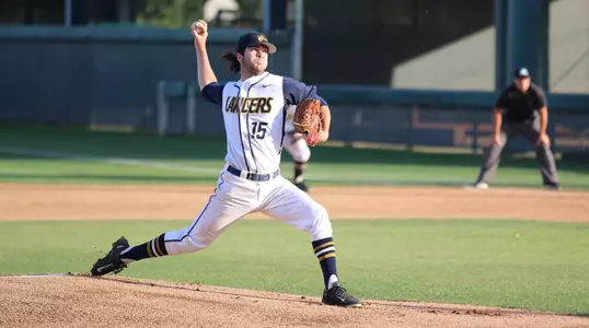 Sea Lions Shutout Image