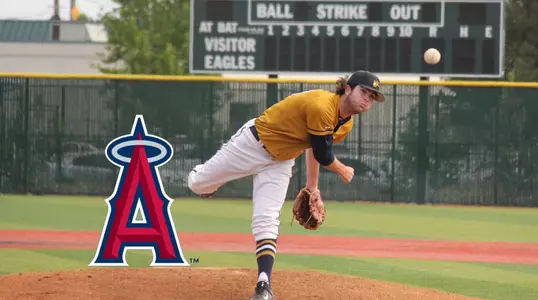 MLB draft