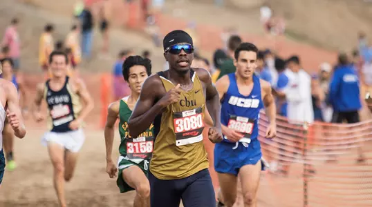 Strength in Numbers Image