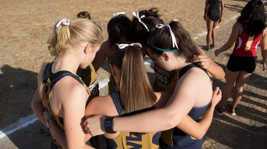 Making Strides into Postseason Image