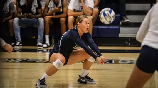 Tori Ortman