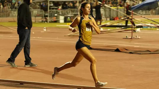 Solid Day's Work Image