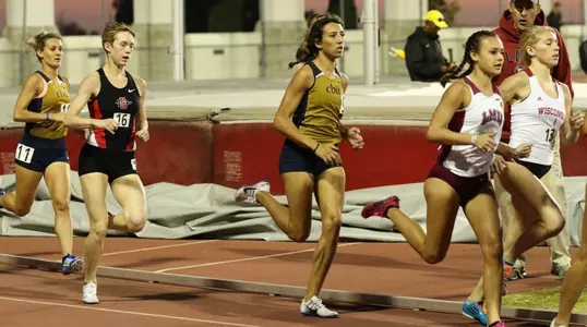 berenice cleyet-merle