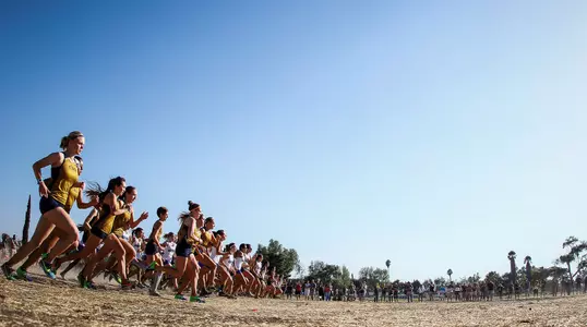 Picking Up The Pace Image