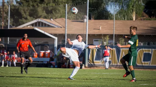 Late Goals Lead to Victory Image