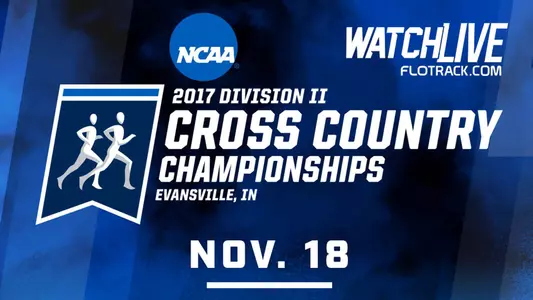 NCAA XC
