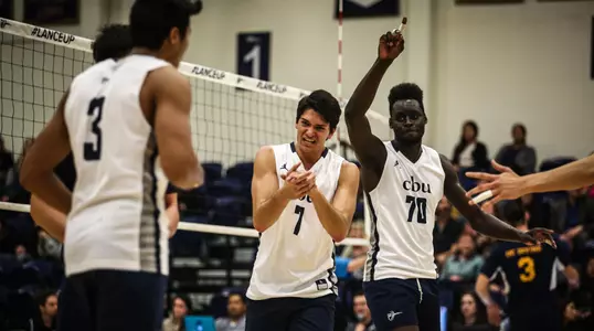 Cohesive Effort Image