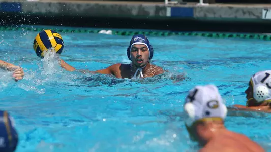 Balanced Attack Bullies Bulldogs Image