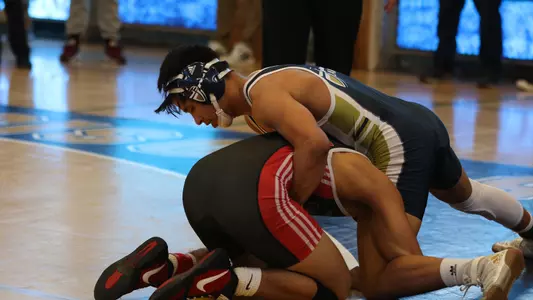 wrestling