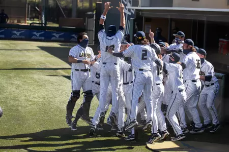 team celebrate homer