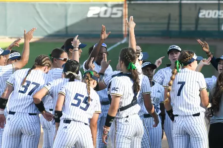 Softball Lance Up Generic