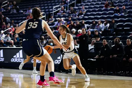Sydney Dribble generic