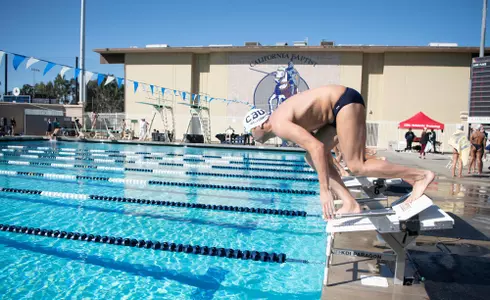 Swimmer on Block Generic