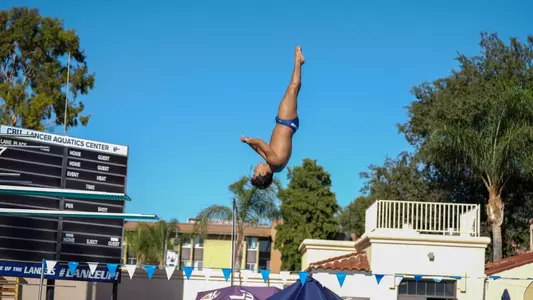 Gael Dive