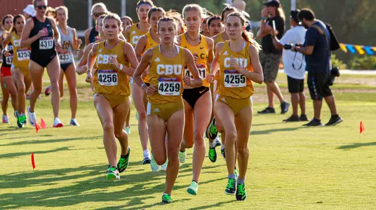 WXC SideArm
