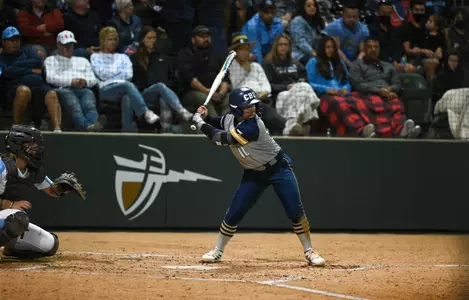 Stark At Bat