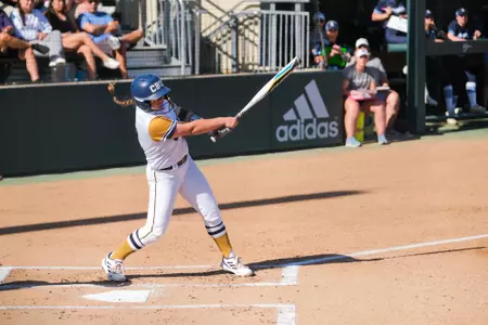 Nicole Stark Swing