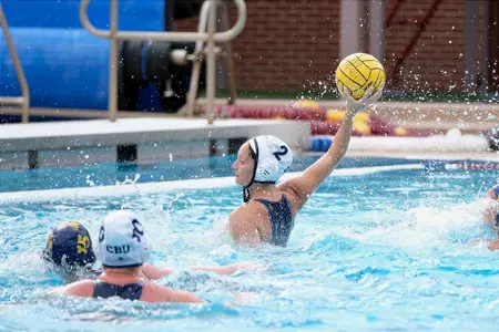 Cayleigh vs Michigan