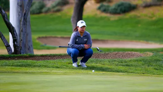 Dizon Putting