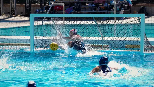 Ava Penalty Block