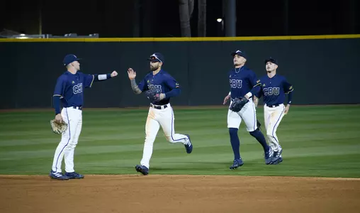 Baseball High Fives After Win