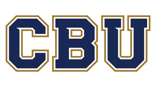 CBU SideArm Cover