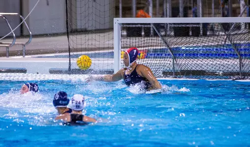 Schneider Save
