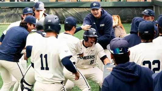 Baseball Celebration