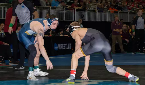 Griffin vs Strickenberger