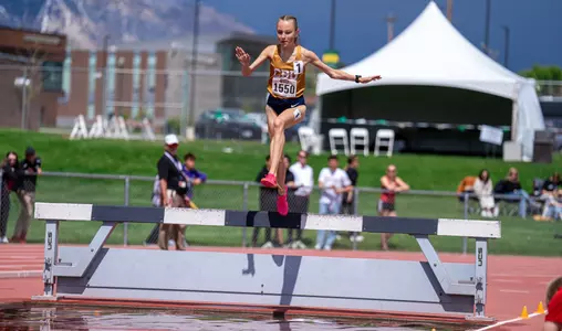Greta 3x Steeple Queen