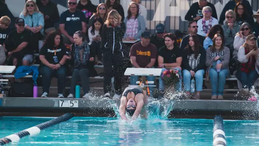 Backstroke Start with Crowd