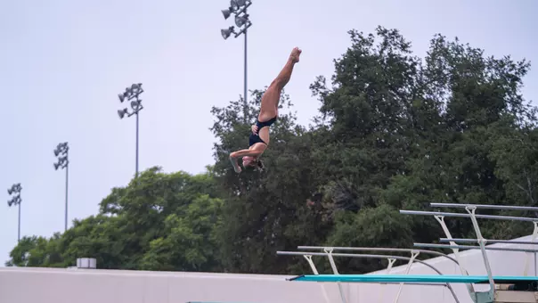Dive-1025