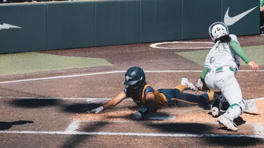 Goins Safe Slide at Home